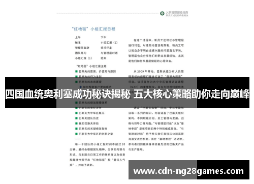 四国血统奥利塞成功秘诀揭秘 五大核心策略助你走向巅峰 四国血统奥利塞成功秘诀揭秘 五大核心策略助你走向巅峰
