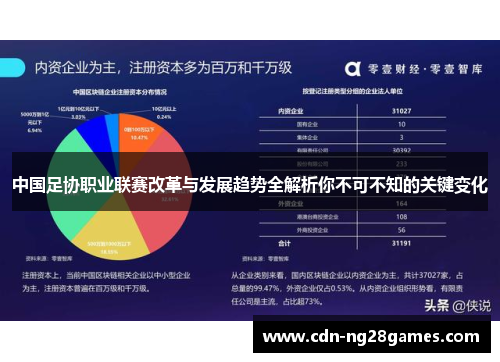 中国足协职业联赛改革与发展趋势全解析你不可不知的关键变化