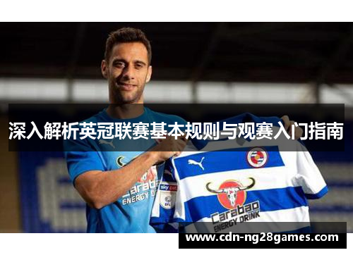 深入解析英冠联赛基本规则与观赛入门指南